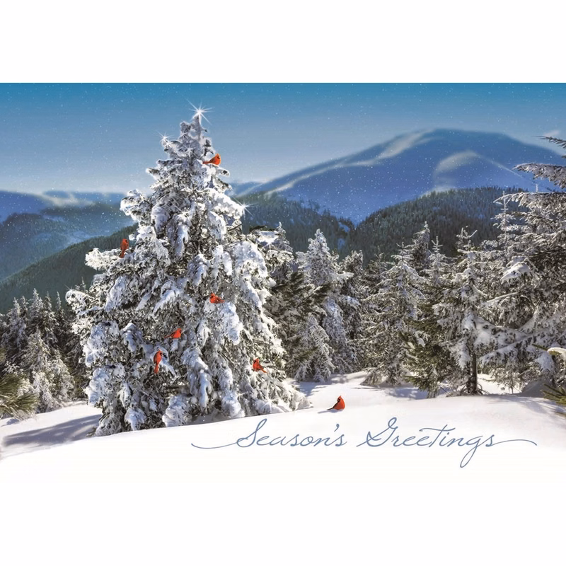Fresh View Holiday Greeting Cards