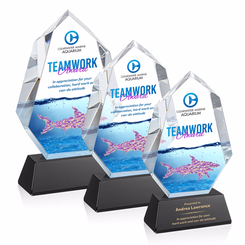 Norwood VividPrint™ Award on Newhaven Base - Black