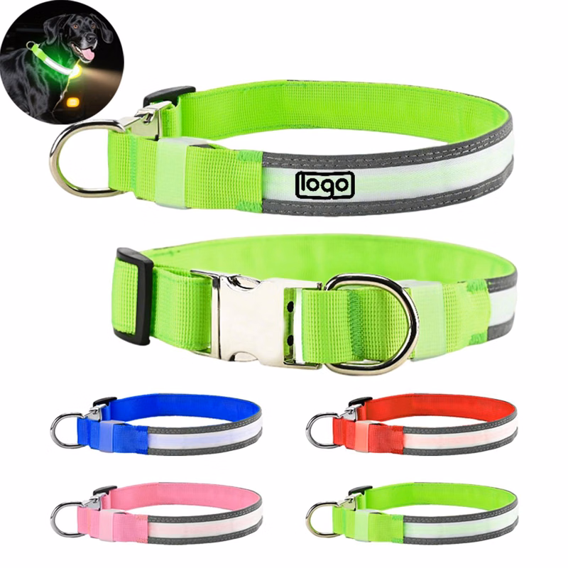 Rechargeable LED Light Up Dog Collar