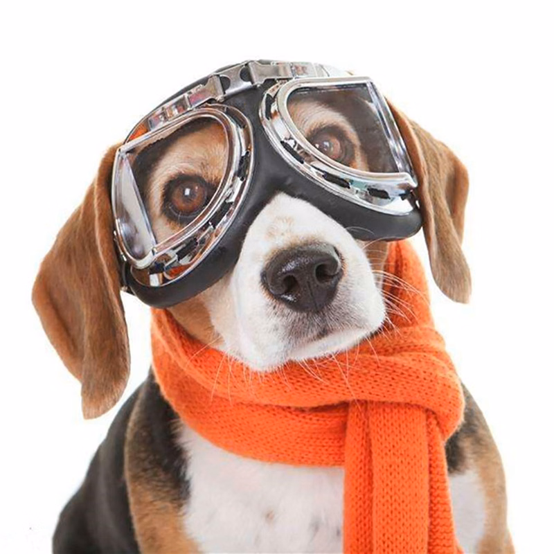 Foldable Pet Sunglasses
