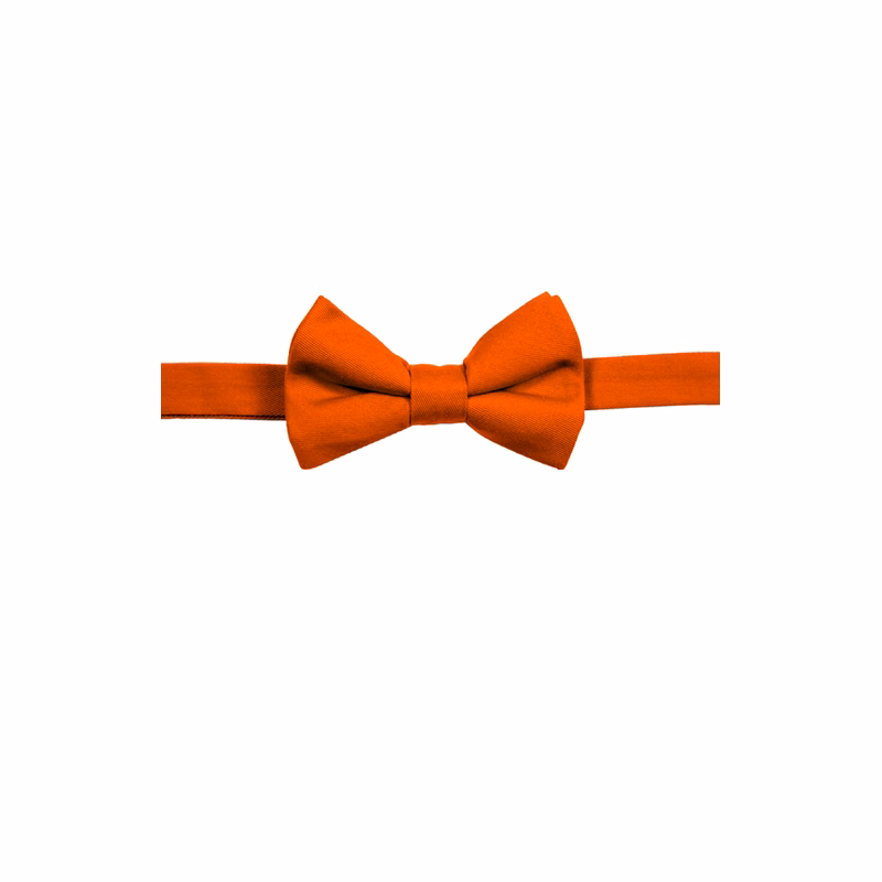 Scotchgard Treated Twill Bow Tie