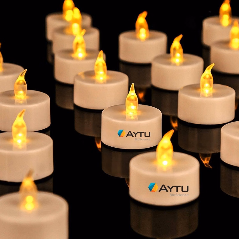 Tea Lights Candles