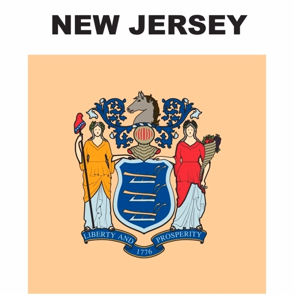 Mini Banner - New Jersey