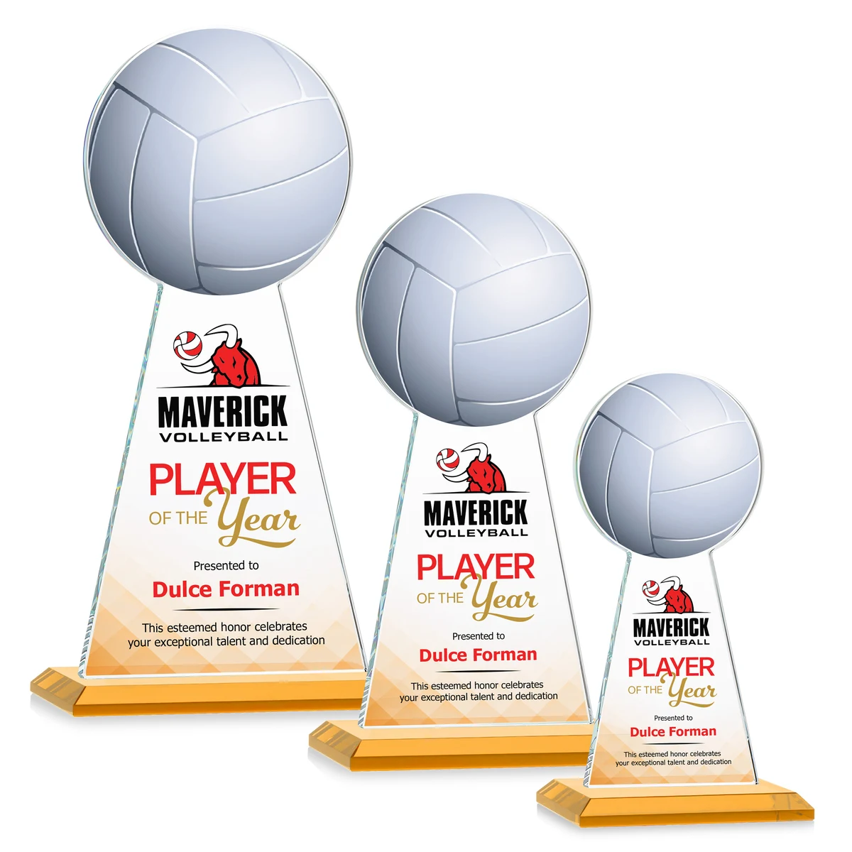 Edenwood Volleyball VividPrint™ Award - Amber 1