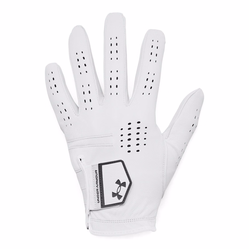 UA Drive Tour Men's Glove