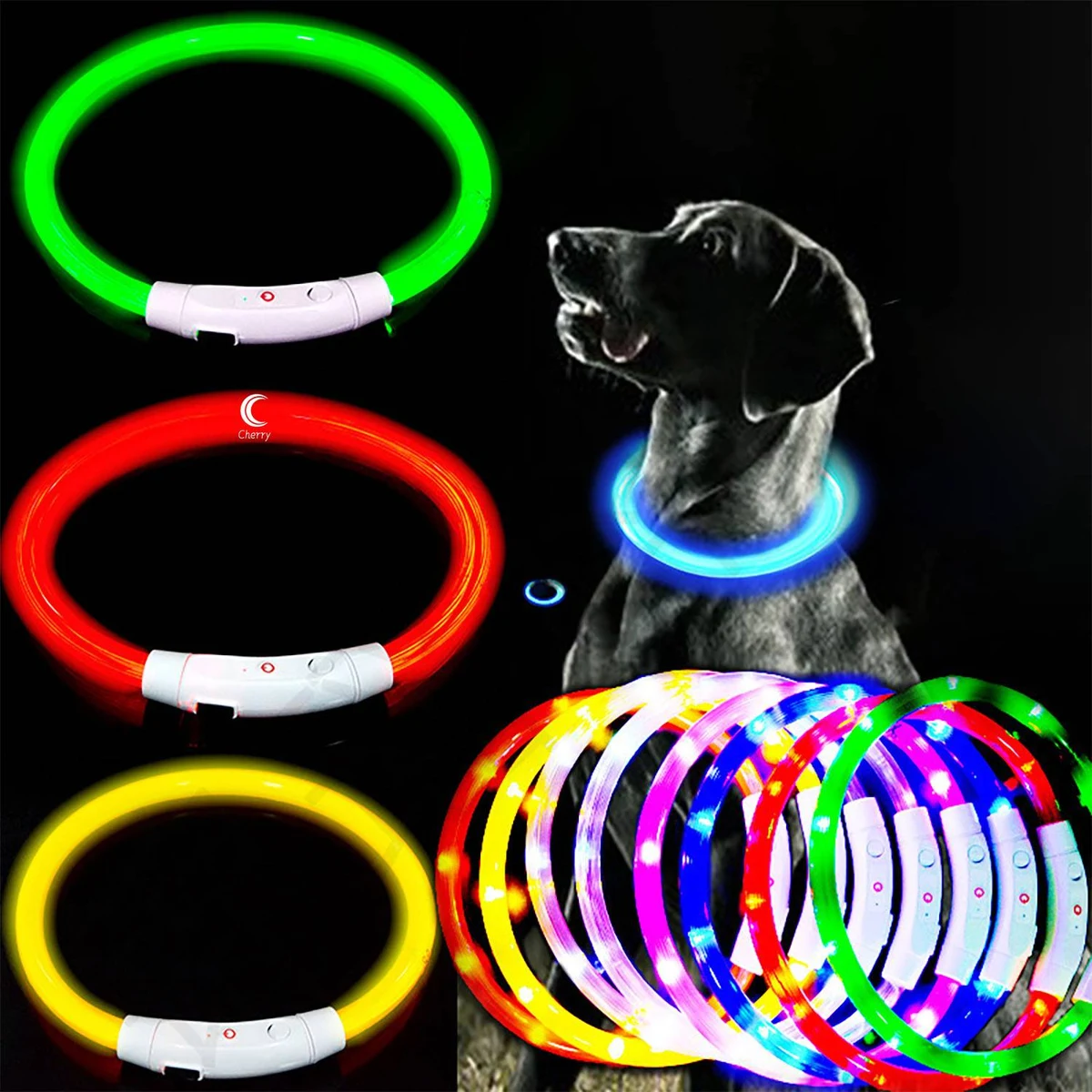 Glowing Dog Collar 1