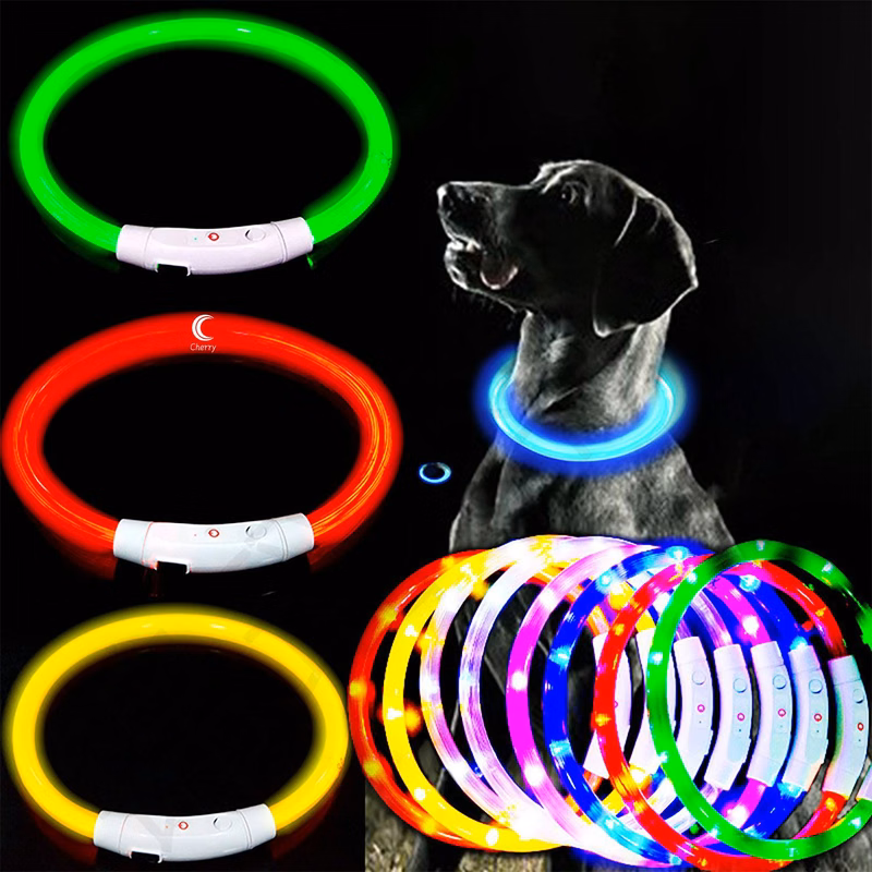 Glowing Dog Collar