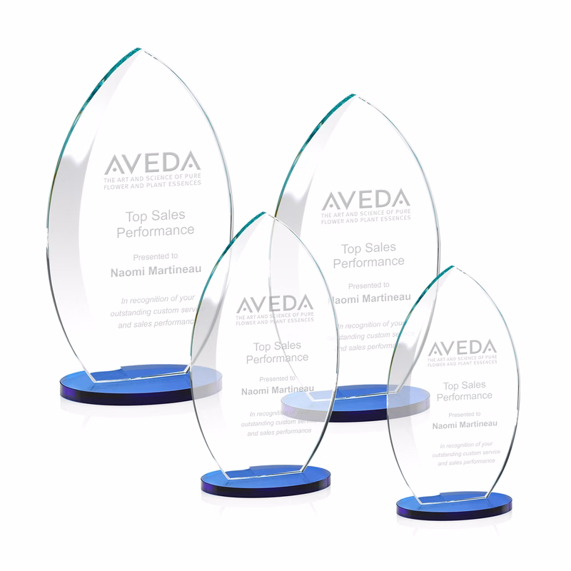 Windermere Award - Blue