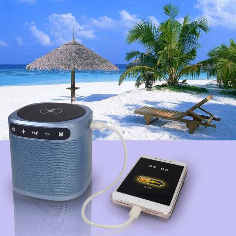 EchoPower RockStar Desktop Bluetooth 5.0 Speaker – FM Radio, Wireless Charger & 2200mAh Power