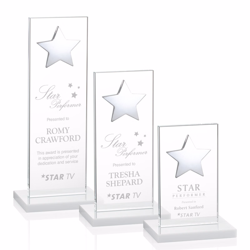 Dallas Star Award - White/Silver