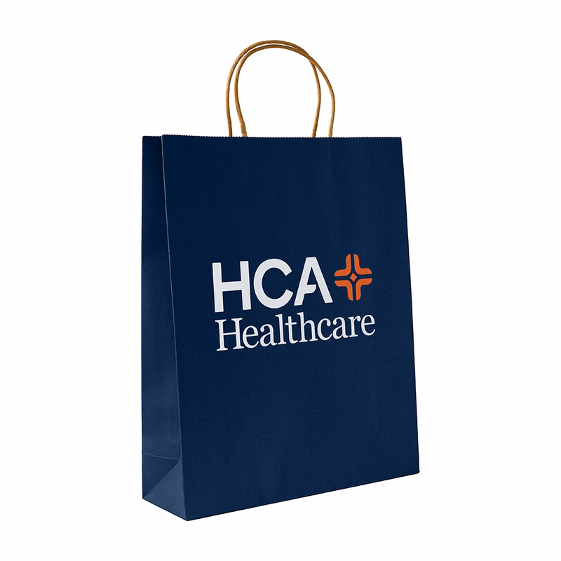210g C1S paper bag with full color imprint on all sides (10.5*8.25*4")