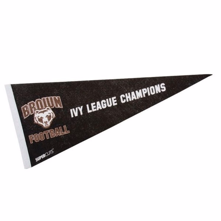 Mini Felt Pennant