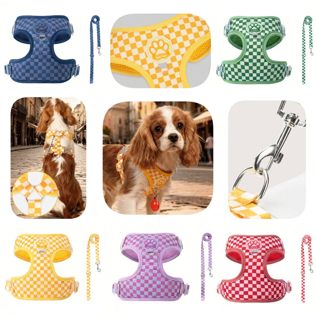 Step In Dog Harness with Leash for Small Dogs 1