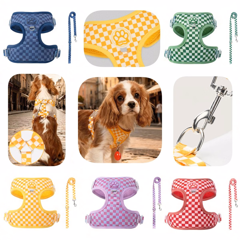 Step In Dog Harness with Leash for Small Dogs