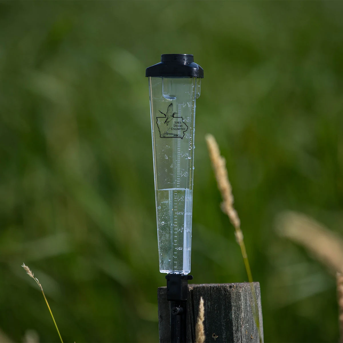 Triangle Rain Gauge 1