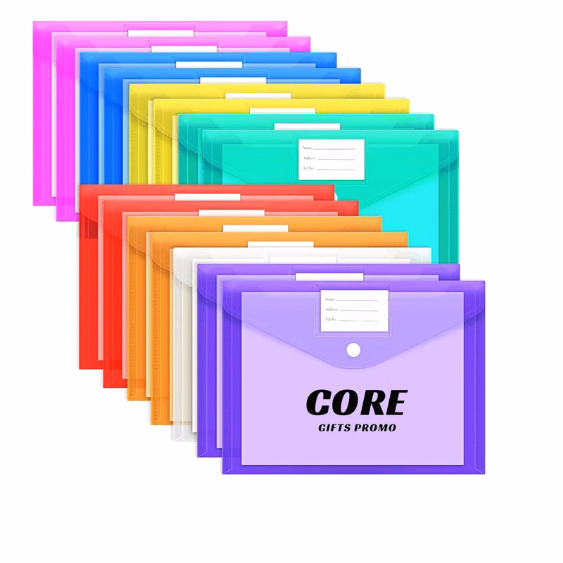 Clear Document Plastic File Folders