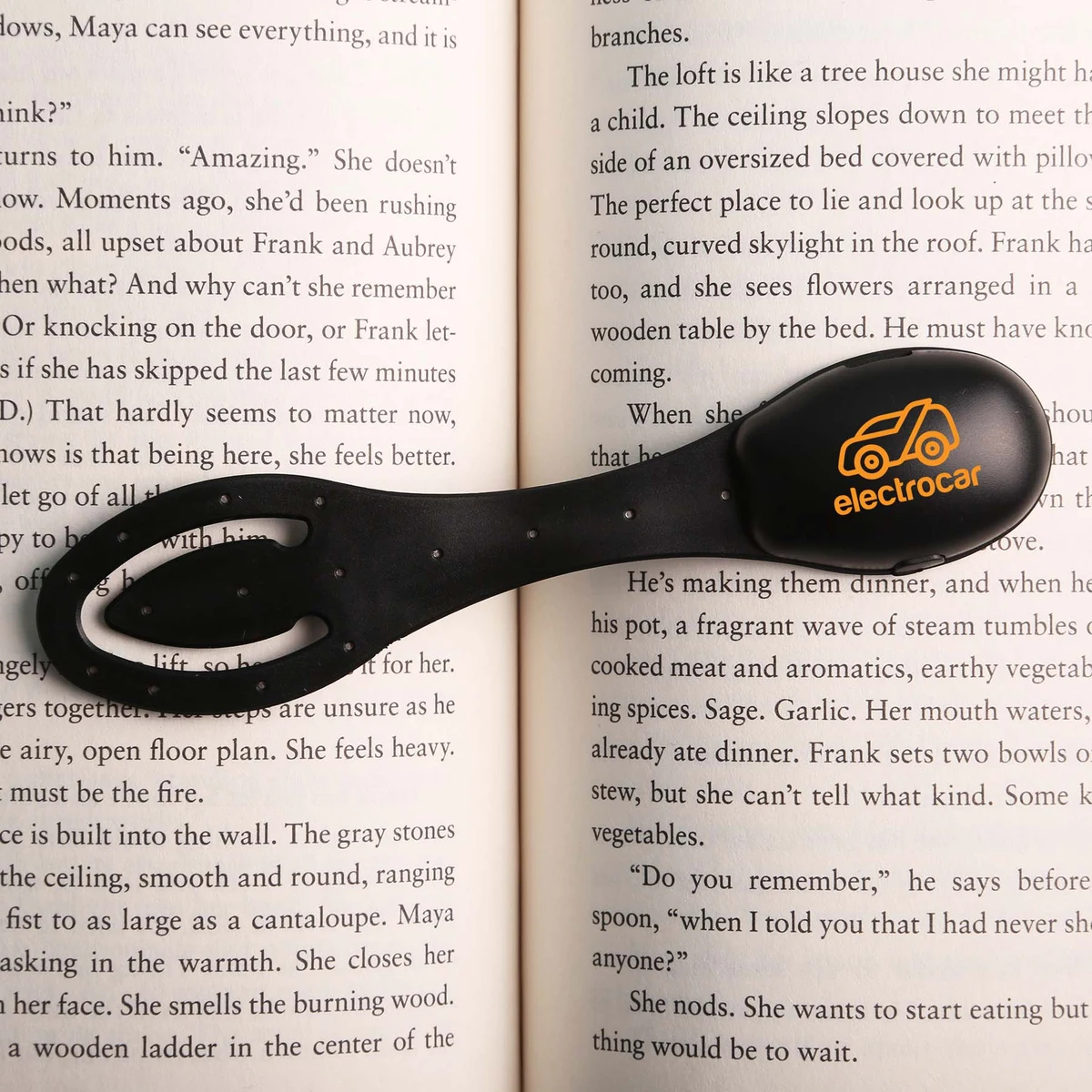 Scholar Book Light 1