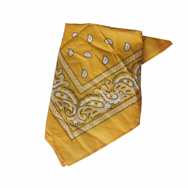 100 % Polyester Pet Triangle Belt