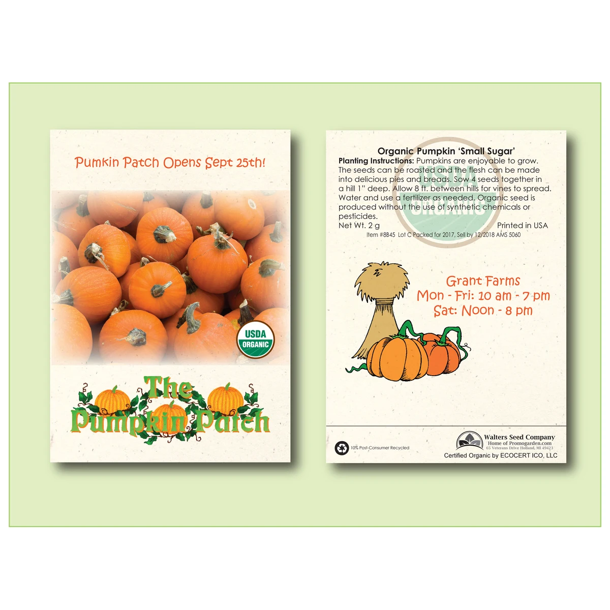 Organic Pumpkin Sugar Pie Seed Packet -Standard Size 3.25" x 4.5" 1
