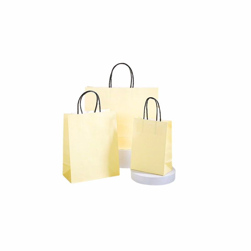 Ink Absorbent Paper Shopping Bag With Twisted Handle 6 x 3.15 x 8.25"