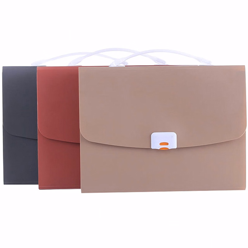 Colored Accordion File Organizer