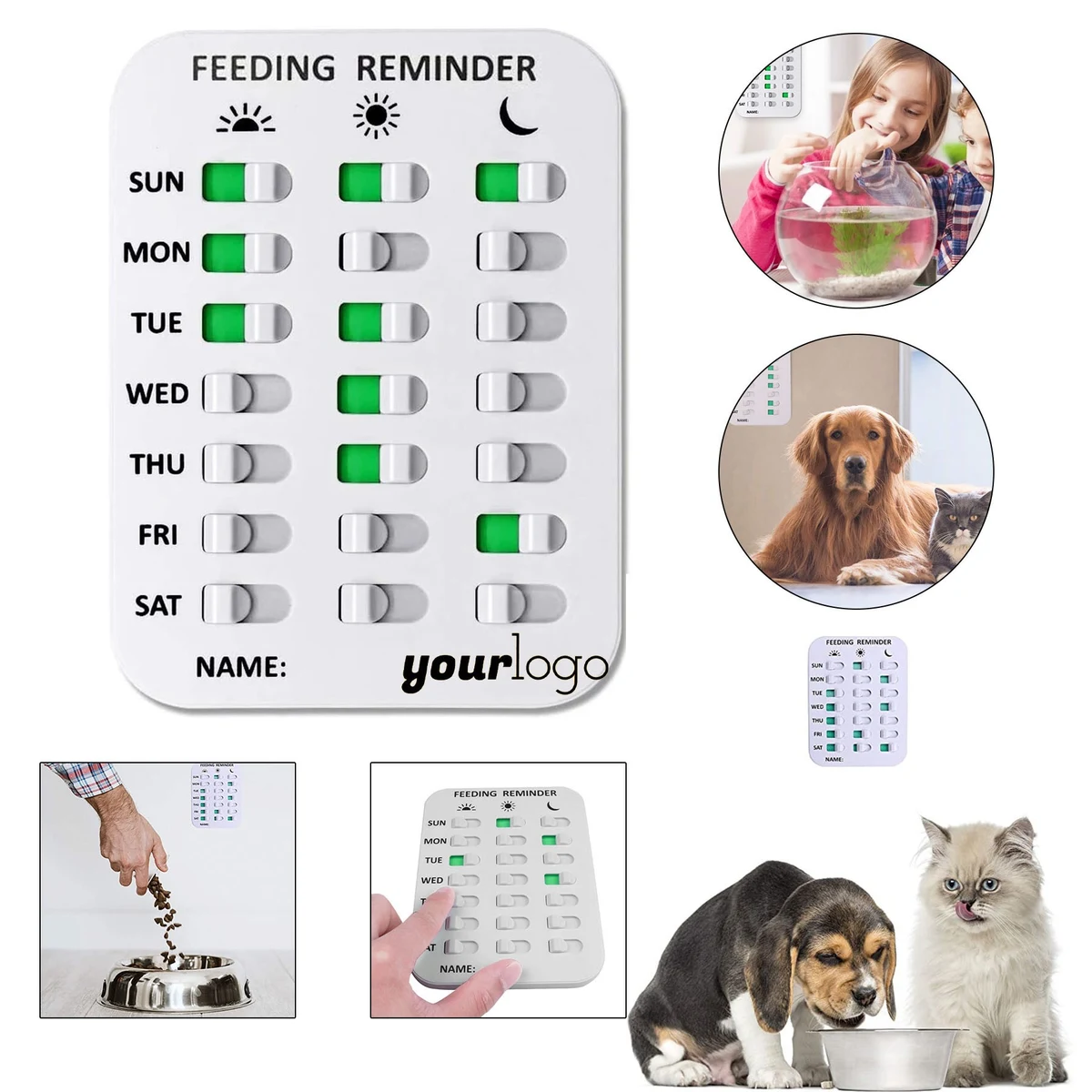 Dog Feeding Reminder 1