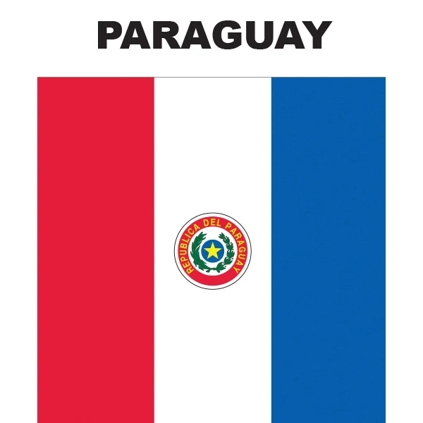 Mini Banner - Paraguay 1