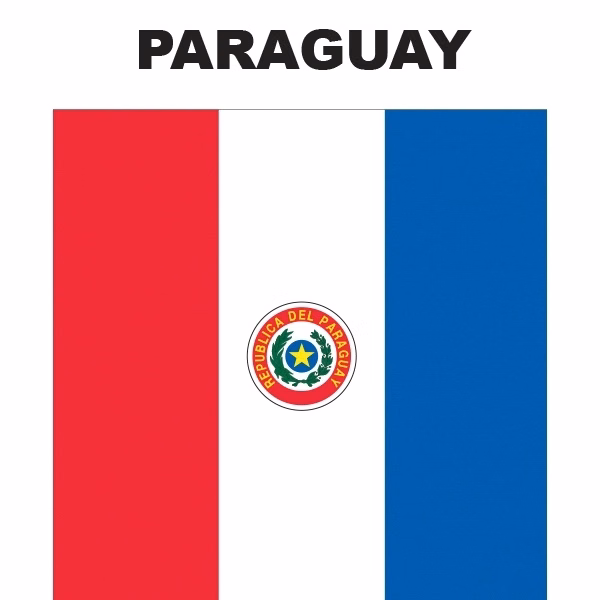Mini Banner - Paraguay