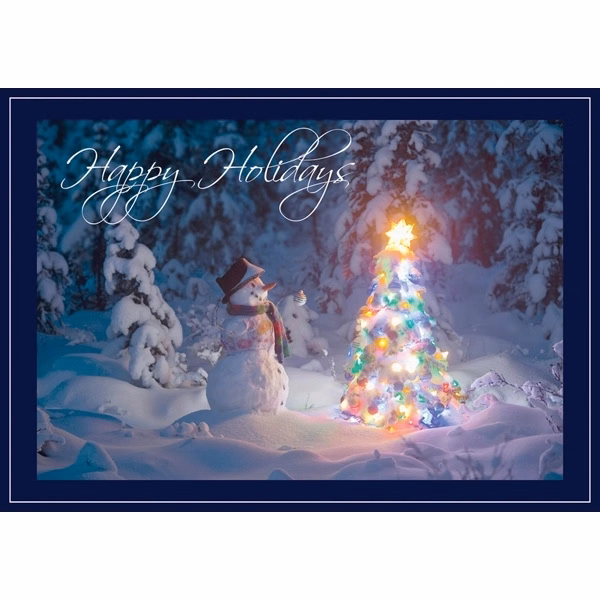 Snowy Decorator Christmas Cards