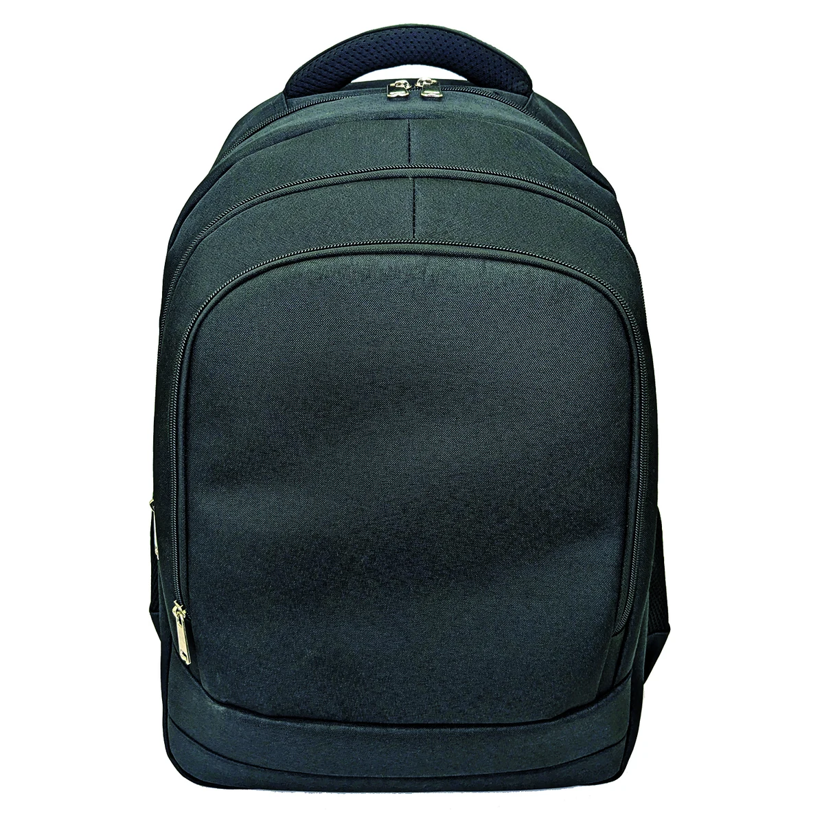 Pro Deluxe Computer Backpack 1