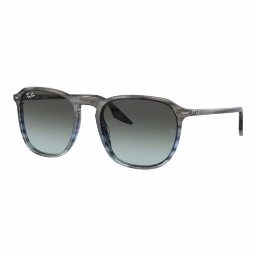 Ray-Ban RB2203 Sunglasses