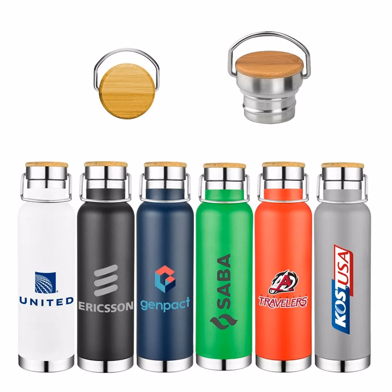 Insulated Metal Sports Bottle with Handle and Leak Proof Lid