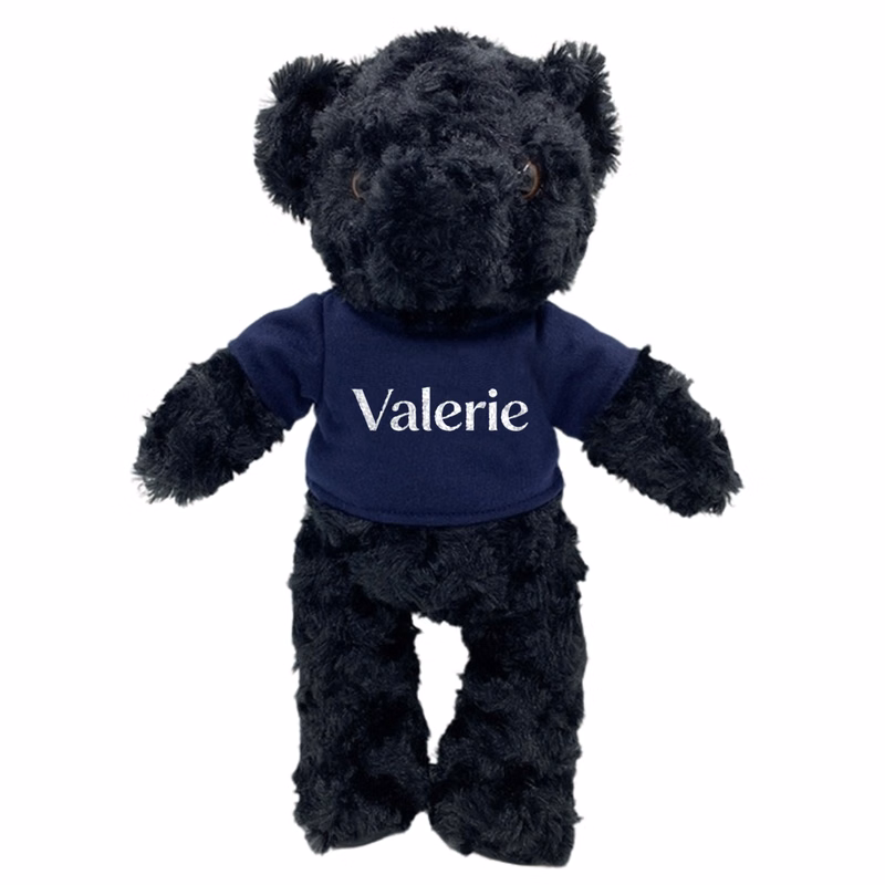 11.8" T-Shirt Teddy Bear Toy
