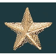 Star Metal Chenille Letter Insignia Pin