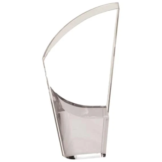9 1/2" Mirror Lunar Acrylic Award 1