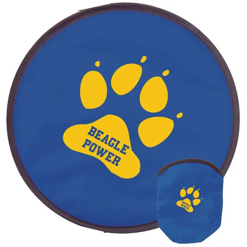 10" Flexible Flyer Disc 1