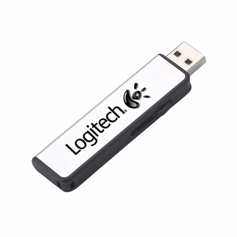 Data Keeper Flash Drive w/Key Chain (1 GB)