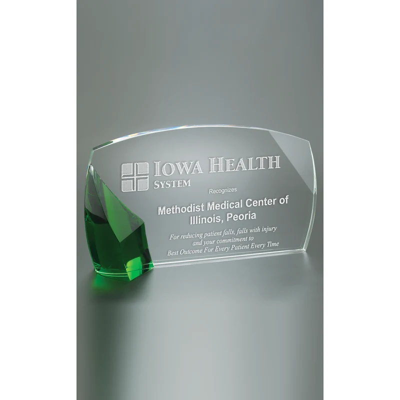 Large Ovation Award 1