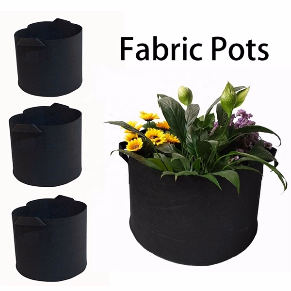 5 Gallon Flower Felt Pot