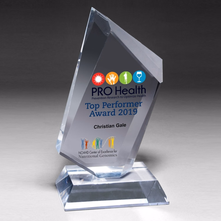 Large Summit Award - 4 Color Process
