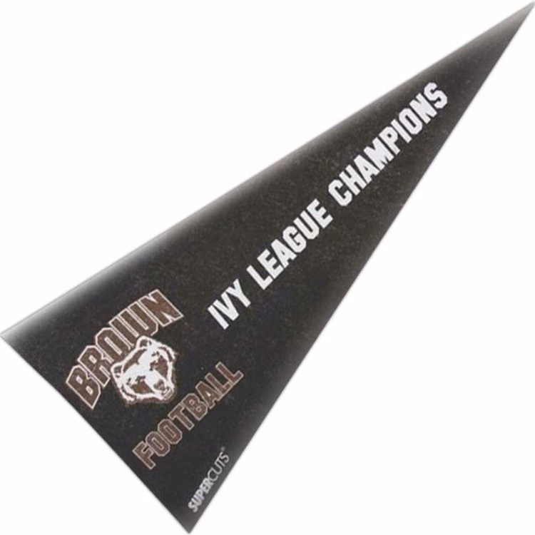 Felt Pennant - 8"x18"