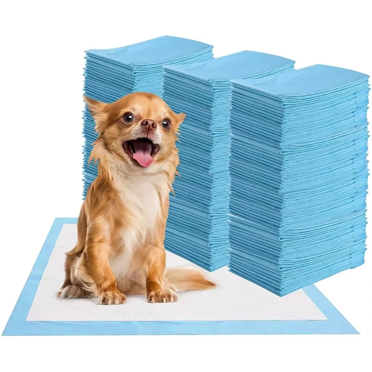 Dog and Puppy Pee Pads Training Mat 1