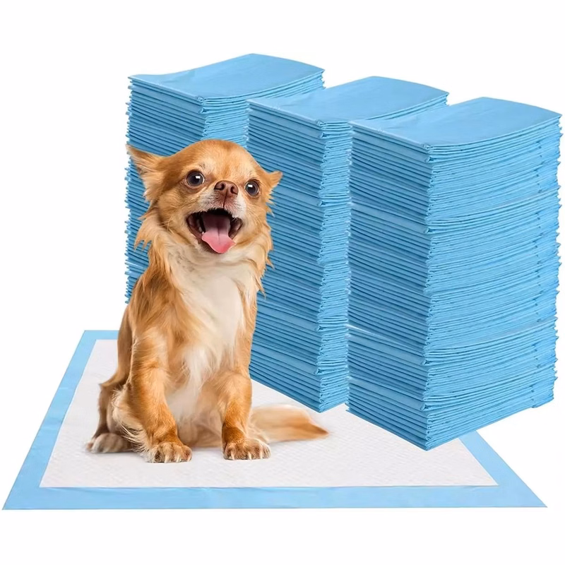 Dog and Puppy Pee Pads Training Mat