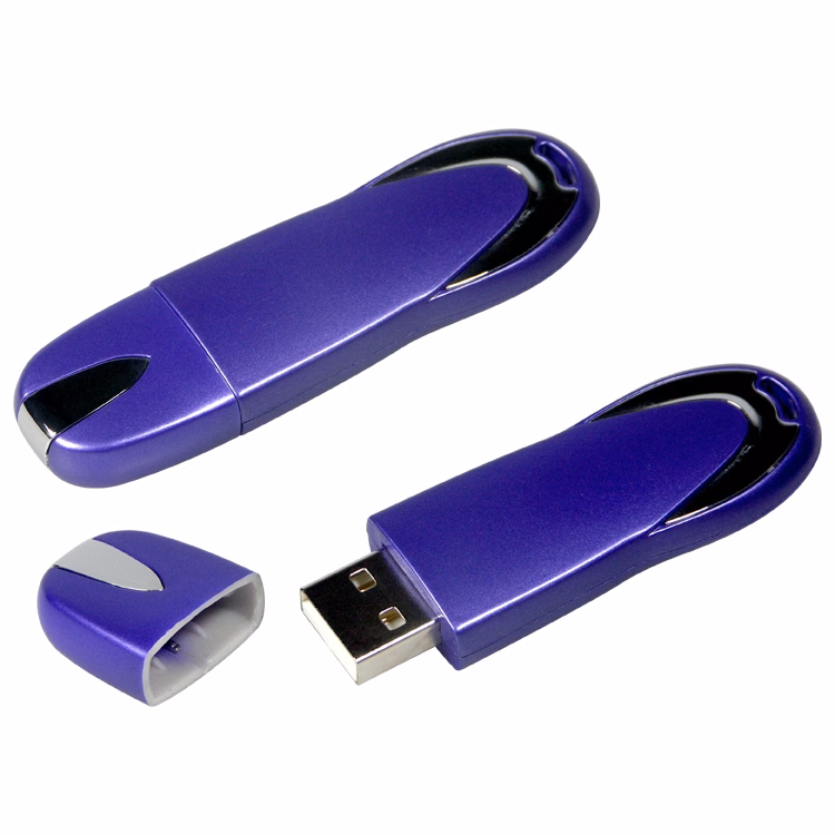 1011FMS - Flash Memory Drive V2.0