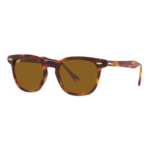 Ray-Ban Hawkeye Sunglasses 1
