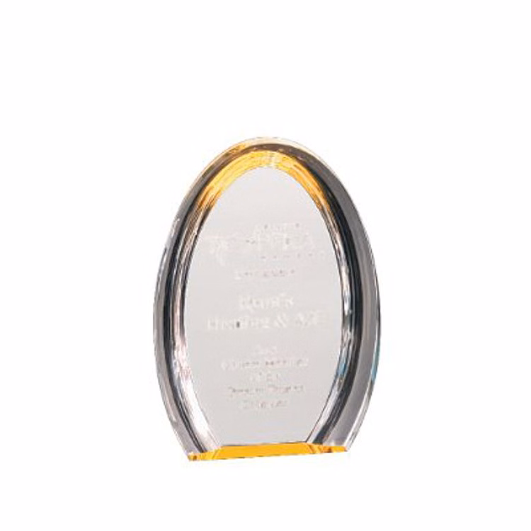 7" Oval Gold Halo Acrylic Award