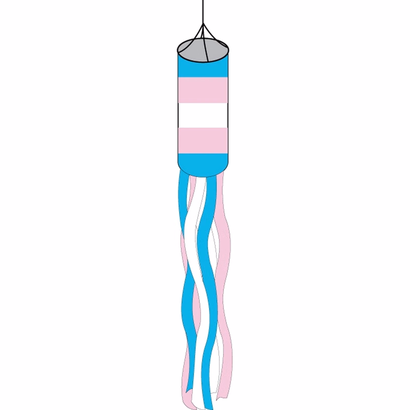 Transgender Windsock