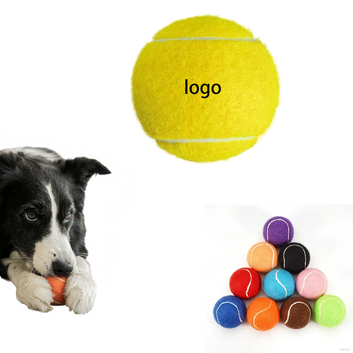 Outdoor Dog Training Toy 1