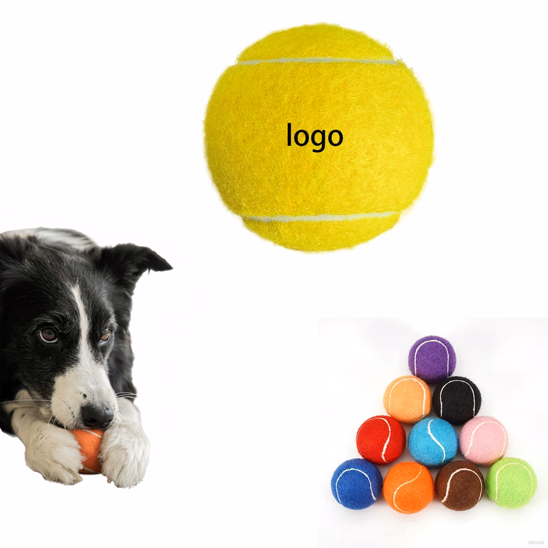 Outdoor Dog Training Toy