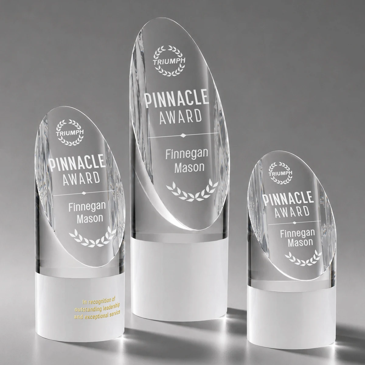 Faccini Award 1